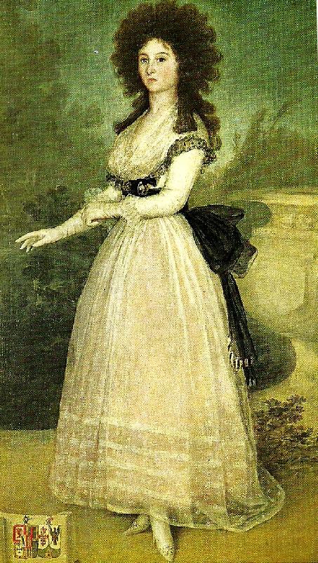 Francisco de Goya dona tadea arias de enriquez France oil painting art